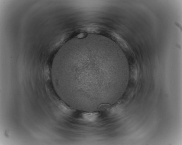 X0000096670465200802051227