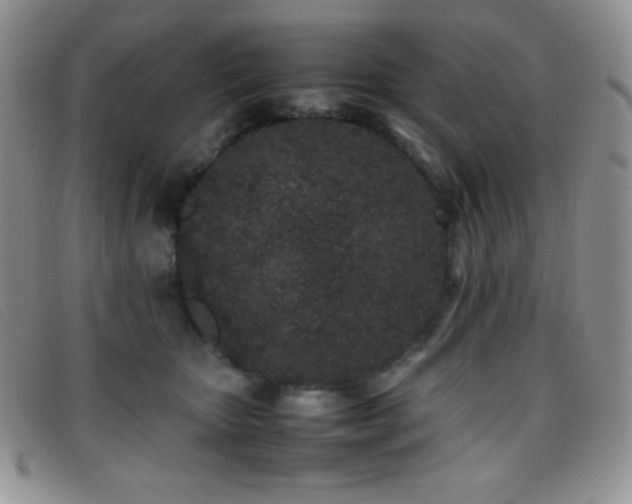 X0000096670467200802051227