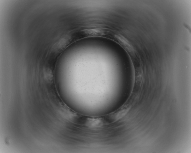 X0000096670469200802051227