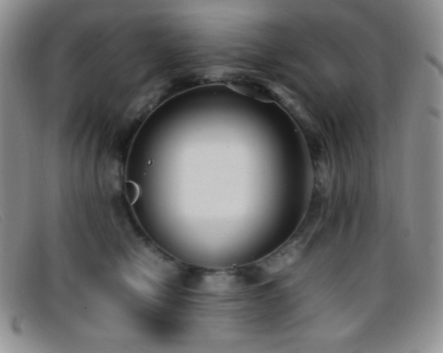 X0000096670470200802051227