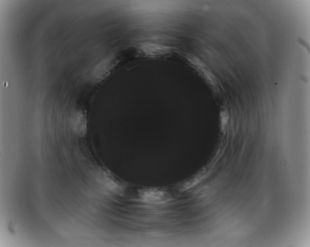 X0000096670471200802051227