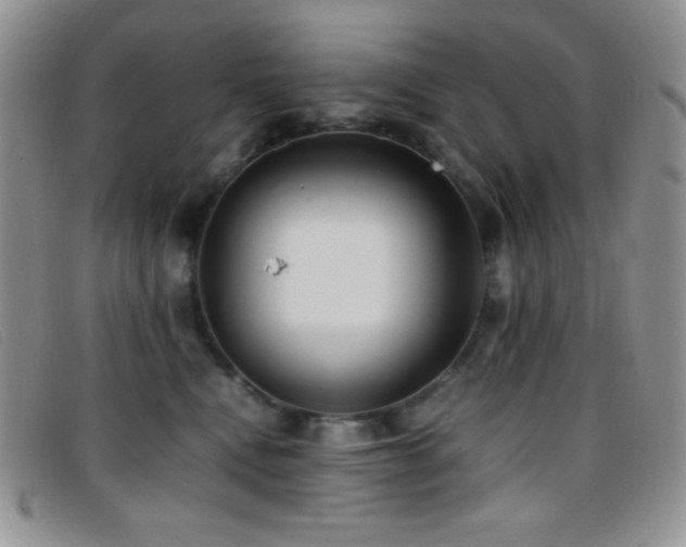 X0000096670472200802051227
