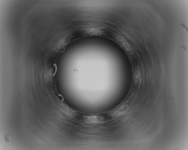 X0000096670473200802051227