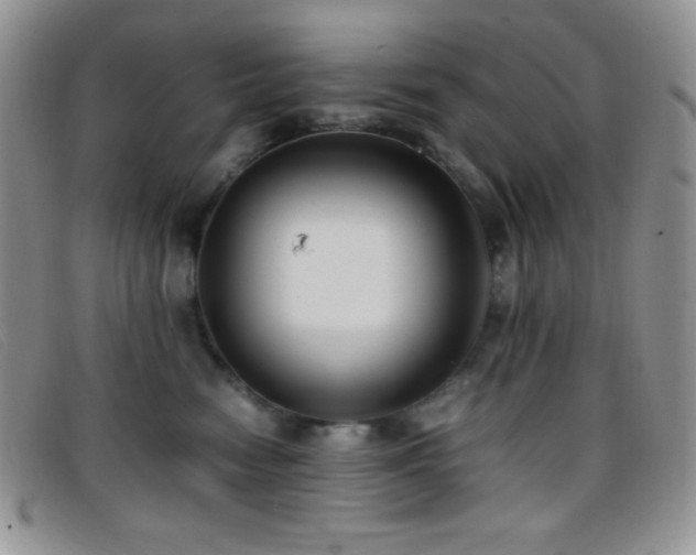 X0000096670474200802051227