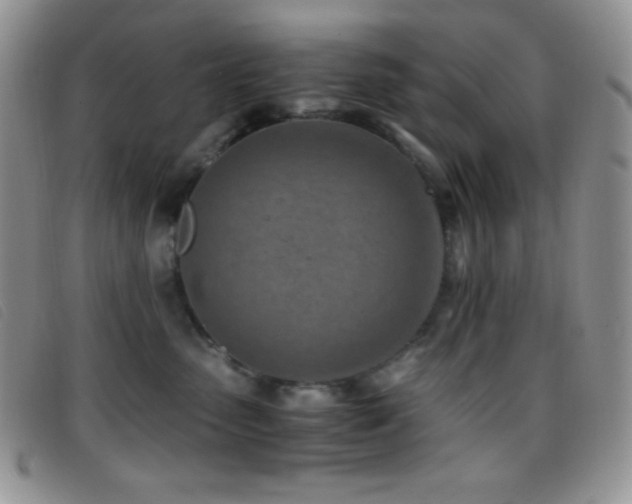 X0000096670475200802051227