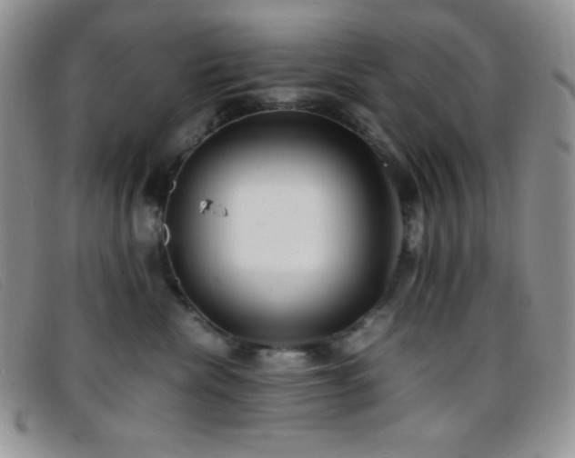 X0000096670476200802051227