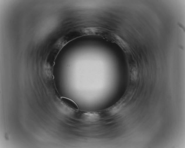 X0000096670477200802051227
