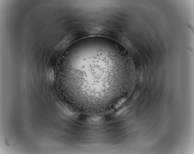 X0000096670479200802051227