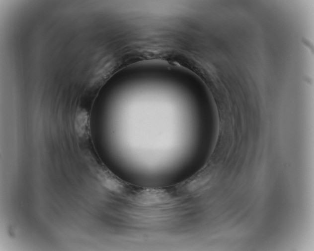 X0000096670480200802051227