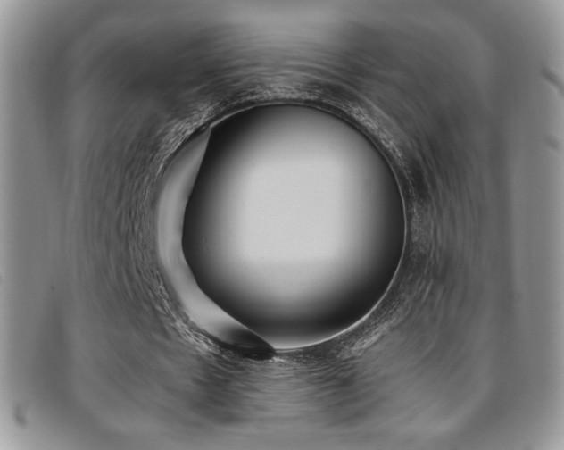 X0000096670481200802051226