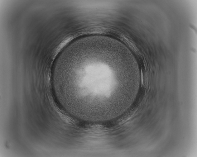 X0000096670483200802051226