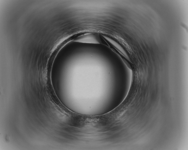X0000096670484200802051226