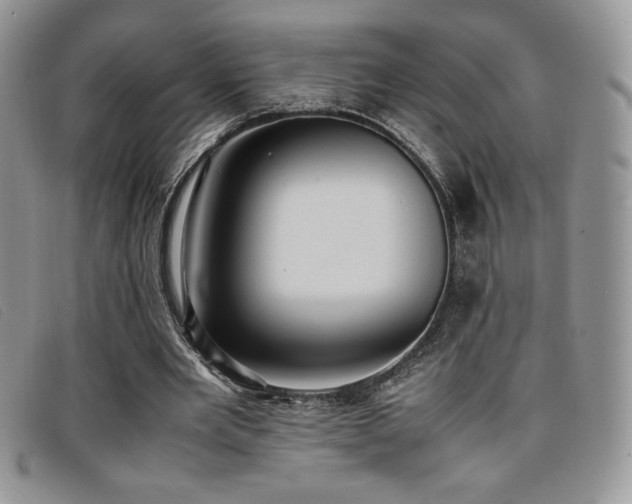 X0000096670485200802051226