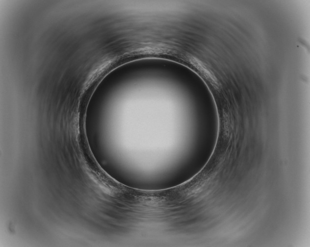 X0000096670486200802051226