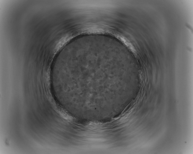 X0000096670487200802051226