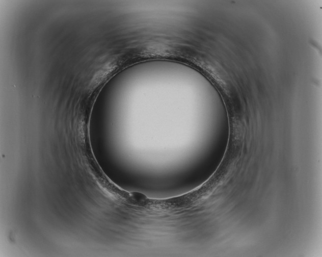 X0000096670489200802051226