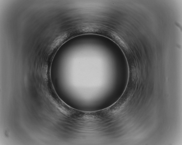 X0000096670490200802051226