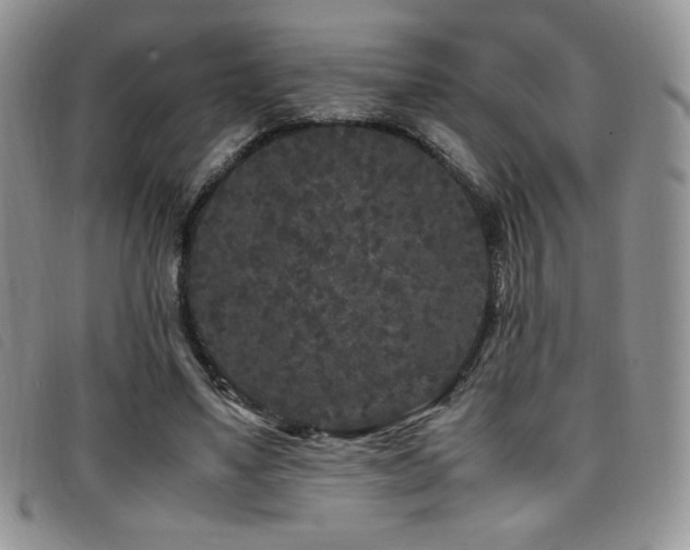 X0000096670491200802051226