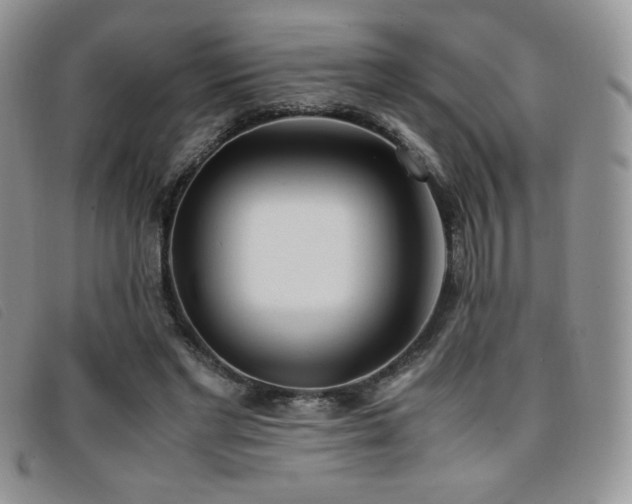 X0000096670493200802051226