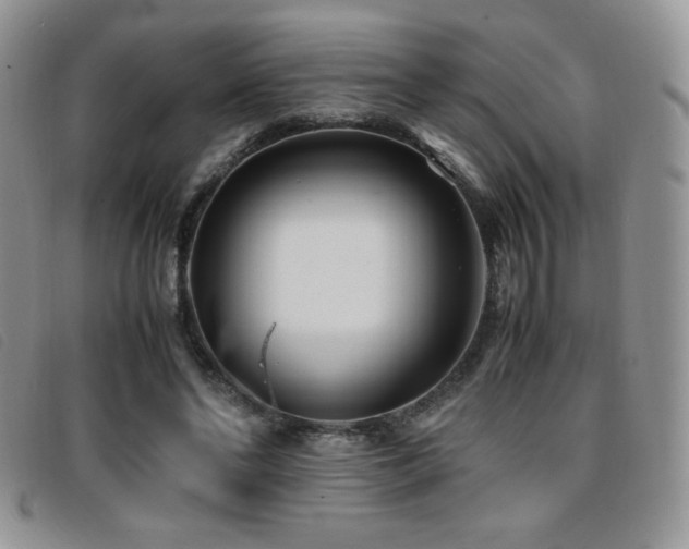 X0000096670494200802051226
