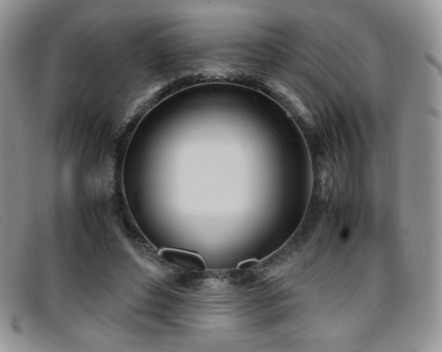 X0000096670496200802051226