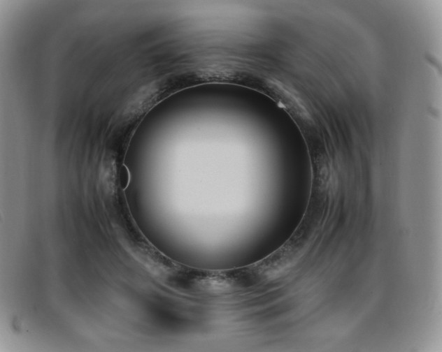 X0000096670498200802051226