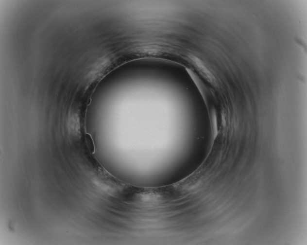 X0000096670500200802051226
