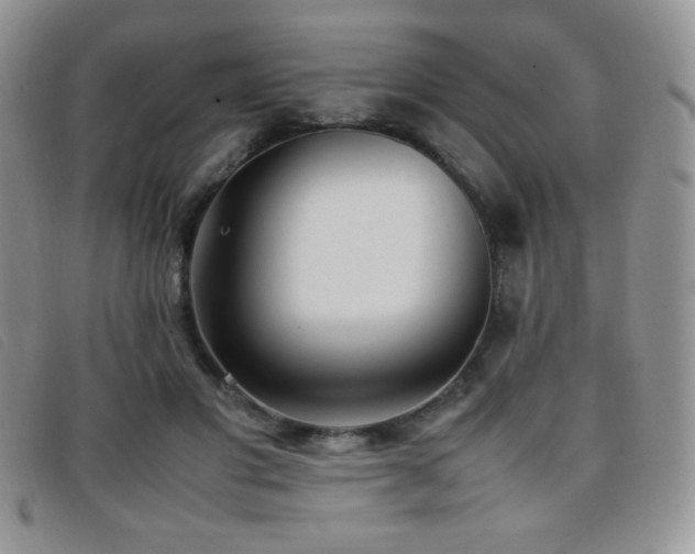 X0000096670501200802051226