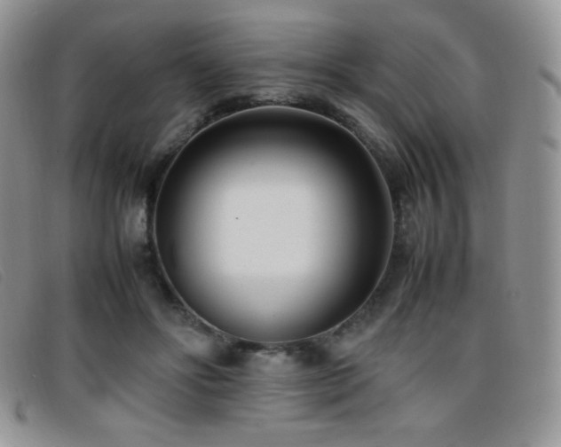 X0000096670502200802051226