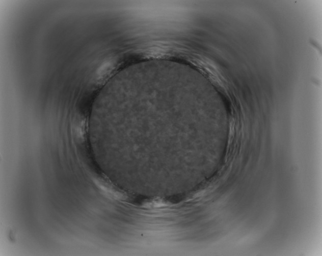 X0000096670503200802051226