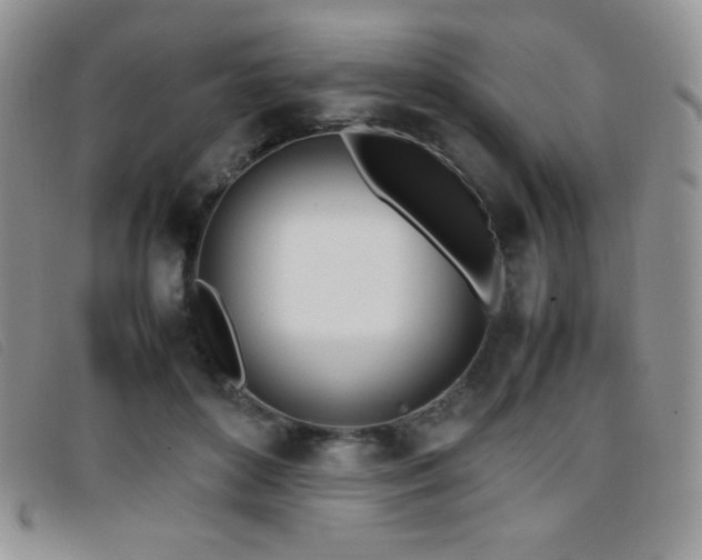 X0000096670504200802051226