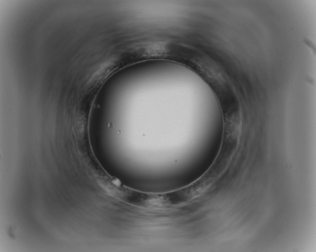 X0000096670505200802051226