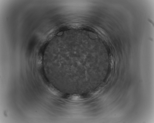 X0000096670507200802051226