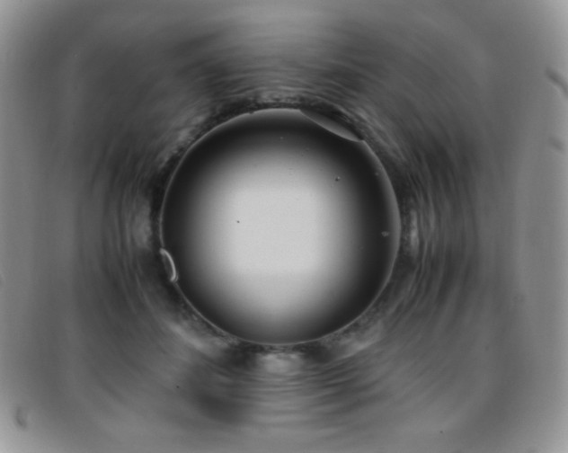 X0000096670508200802051226