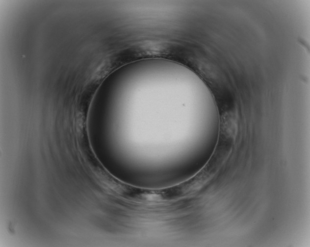 X0000096670509200802051226