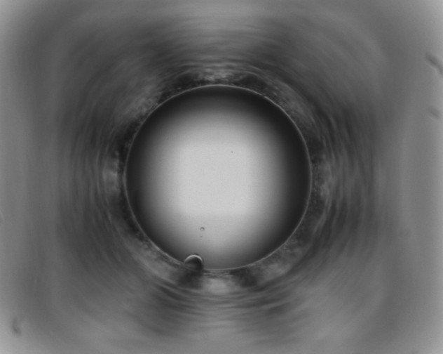 X0000096670510200802051226