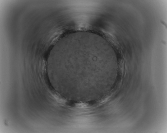 X0000096670511200802051226
