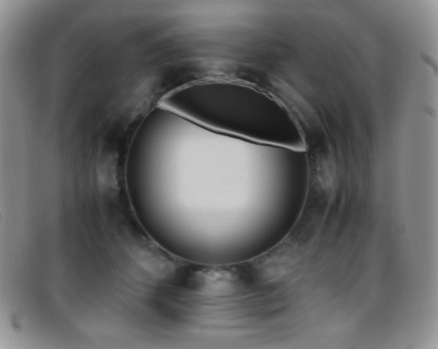 X0000096670512200802051226