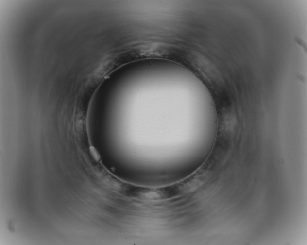 X0000096670513200802051226