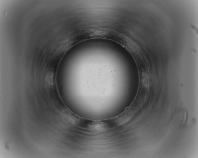 X0000096670514200802051226