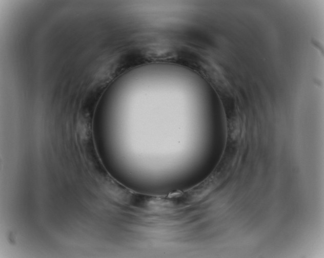X0000096670515200802051226