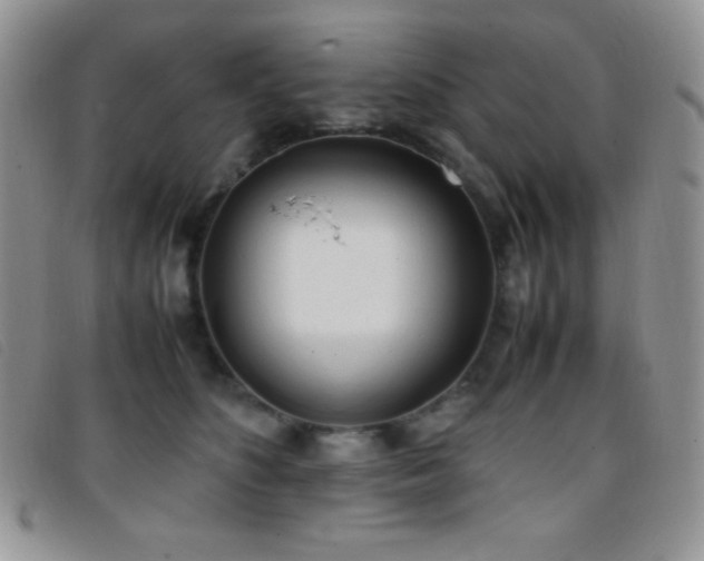 X0000096670516200802051226