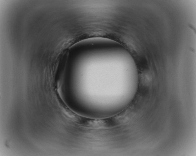 X0000096670517200802051226