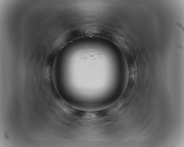 X0000096670519200802051226