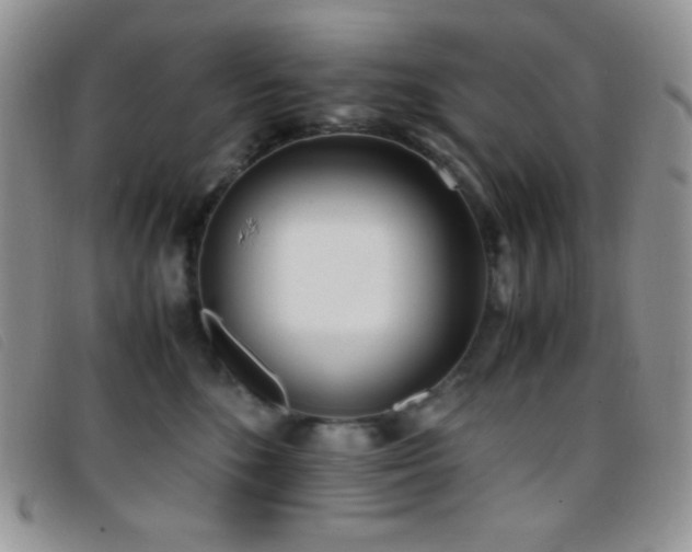 X0000096670520200802051226