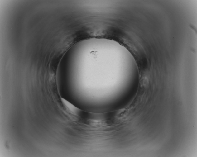 X0000096670521200802051226