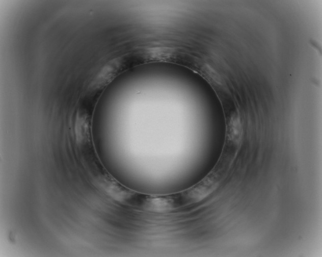 X0000096670522200802051226