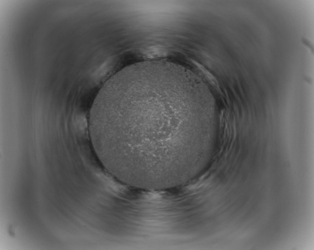 X0000096670523200802051225