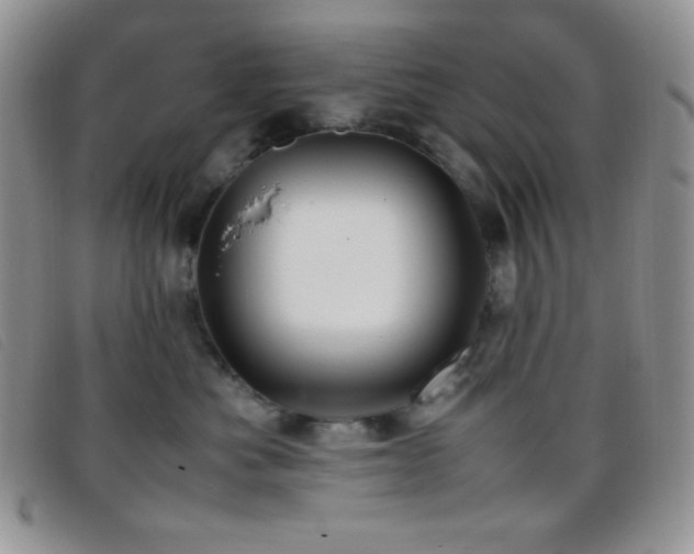 X0000096670525200802051225