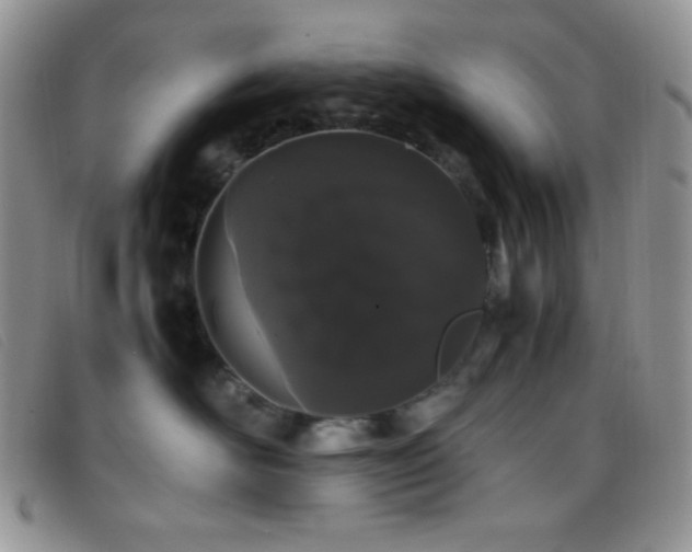 X0000096670526200802051225